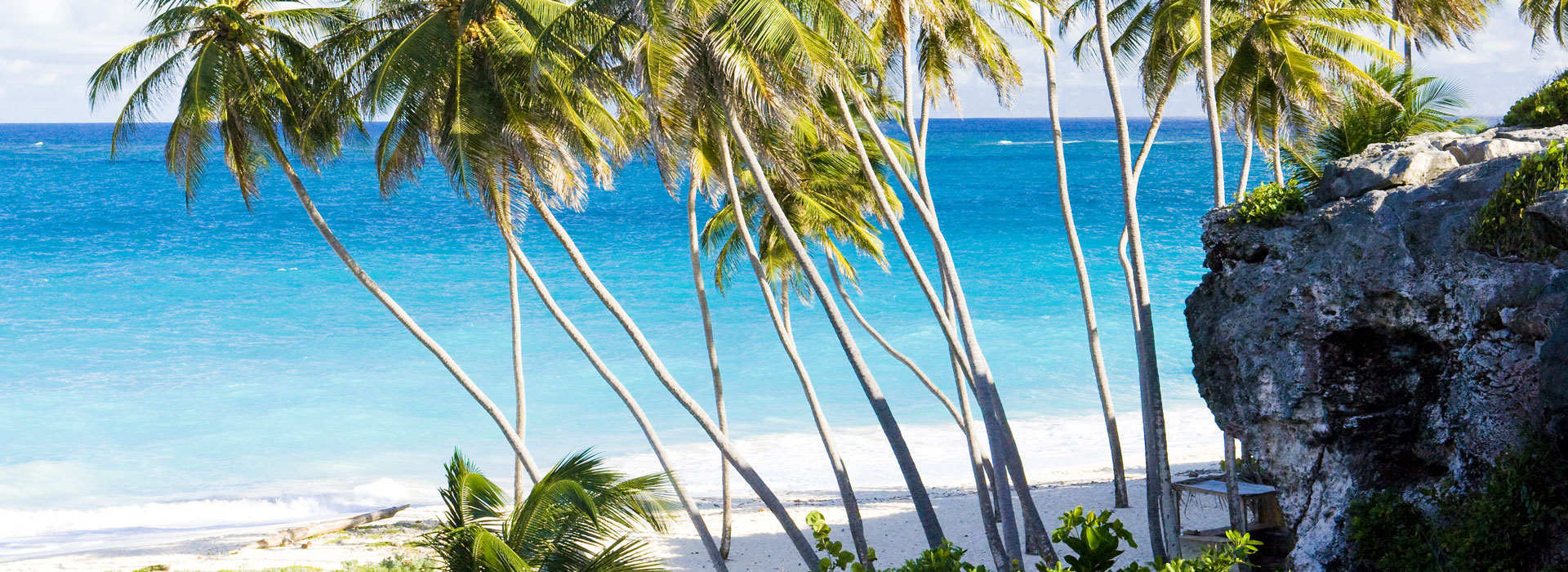 Inspiring tales and more sales for P&O Cruises