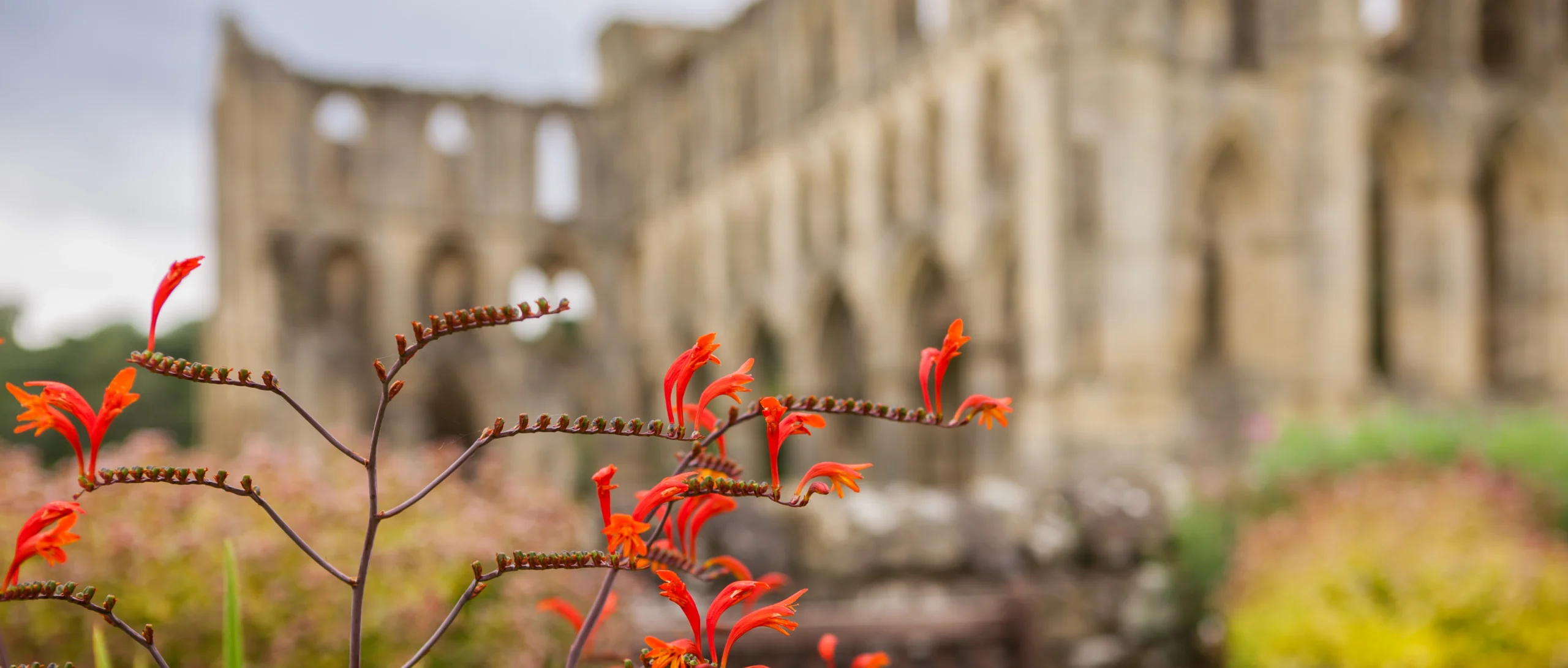 English Heritage: Creating new connections with England’s history