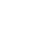 STEP