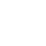 The Shard