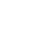 P&O Cruises
