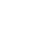 Burgess
