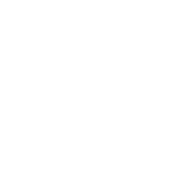 Vaillant