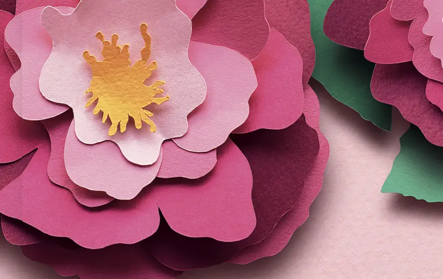 Detail from Bulgarian Rose Oil illustration
